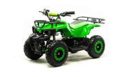 Электроквадроцикл MOTOLAND ATV E009 1000W Motoland