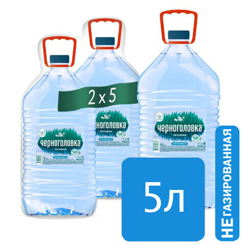 Вода негазированная питьевая ЧЕРНОГОЛОВКА, 5 л