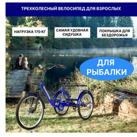Велосипед трехколесный для взрослых РВЗ "Чемпион", 24", синий