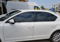 Накладки на нижние молдинги стекол Omsa 6 шт Skoda Octavia A7 2013-2020