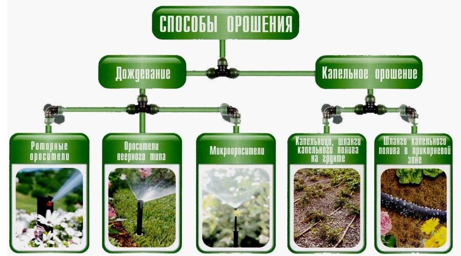 Опишите технику и технологическую схему полива овощных культур