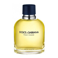 DOLCE & GABBANA туалетная вода Dolce&Gabbana pour Homme, 75 мл, 100 г Dolce & Gabbana