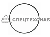 Кольцо уплотнительное диска (Ф180х2) Мультикорн, РИТМ SK12-07.00.018