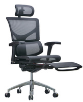 Эргономичное кресло Expert Sail RSAM 01 (сетка черная/каркас черый с подножкой)