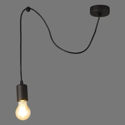 Подвесной светильник Inspire Паук 1 лампа 3м² Е27 цвет черный матовый INSPIRE V4238-1/1S