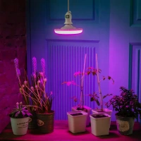 Фитолампа светодиодная для растений Uniel E27 220-230 В 16 Вт 150 мм красно-синий спектр розовый свет UNIEL None