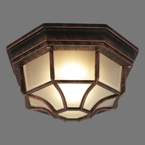 Светильник настенно-потолочный уличный Pegas 100 Вт IP65 цвет античная медь ARTE LAMP None