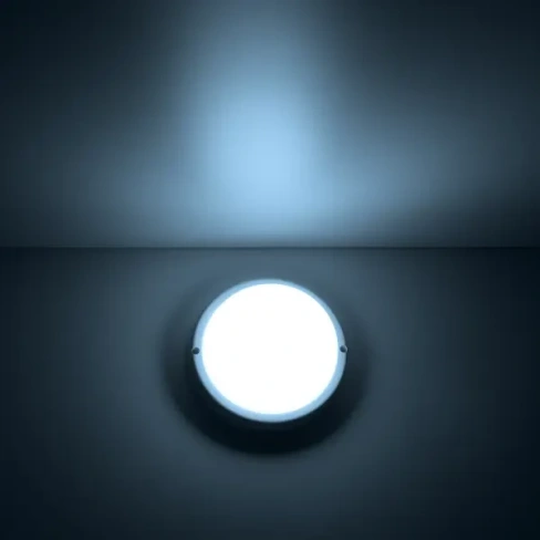 Светильник ЖКХ светодиодный Gauss Lite 12 Вт IP65 круг цвет белый накладной GAUSS LITE