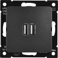 Розетка Hegel USB встраиваемая 3.4 А цвет черный HEGEL РС-USB-420-08