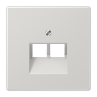 Крышка для двойной телефонной и компьютерной розетки UAE; светло-серая LS969-2UALG Jung