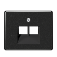 Крышка для сдвоенной телефонной и компьютерной розетки UAE; черная SL569-2UASW Jung