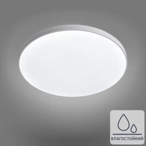 Светильник настенно-потолочный светодиодный 24 Вт круг IP65 нейтральный белый свет Без бренда None