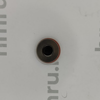 Поршень с кольцами (PTFE) для LPF/PPF-50(T) Hualian Machinery