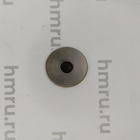 Поршень с кольцами (PTFE) для LPF/PPF-250(T) Hualian Machinery