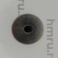 Поршень с кольцами (PTFE) для LPF/PPF-500(T) Hualian Machinery